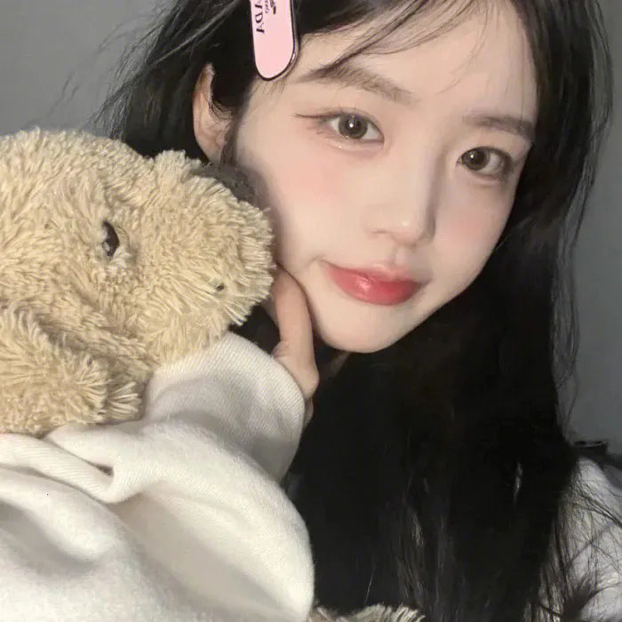 猫儿历险记